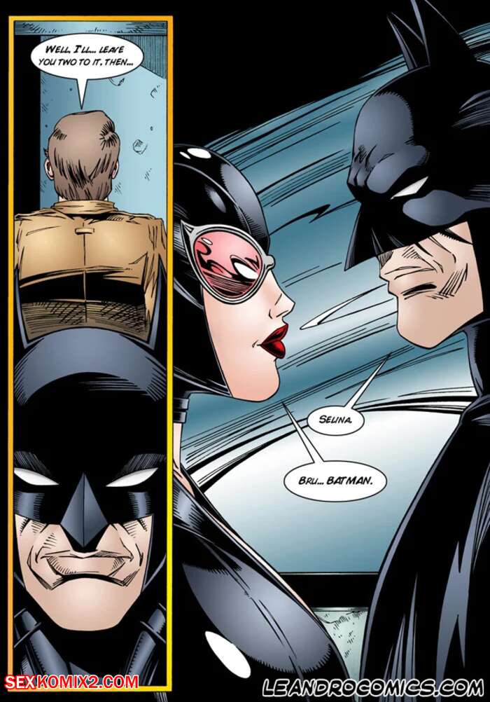 Catwoman Porn Comic - âœ…ï¸ Porn comic Batman and Catwoman. Chapter 1. Leandro Comics. Sex comic  meets hot beauty âœ…ï¸ | | Porn comics hentai adult only | wporncomics.com